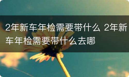 2年新车年检需要带什么 2年新车年检需要带什么去哪