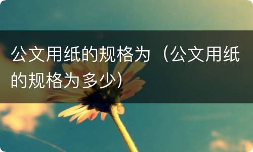 公文用纸的规格为（公文用纸的规格为多少）