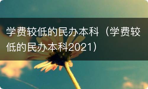 学费较低的民办本科（学费较低的民办本科2021）