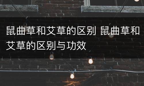 鼠曲草和艾草的区别 鼠曲草和艾草的区别与功效