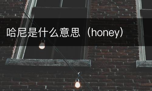 哈尼是什么意思（honey）