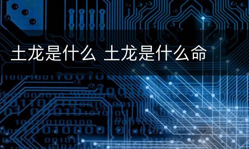 土龙是什么 土龙是什么命