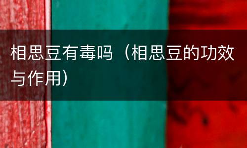 相思豆有毒吗（相思豆的功效与作用）