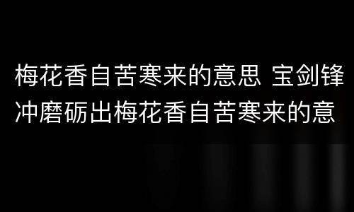梅花香自苦寒来的意思 宝剑锋冲磨砺出梅花香自苦寒来的意思