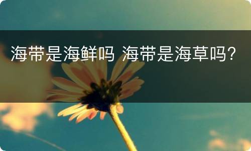 海带是海鲜吗 海带是海草吗?