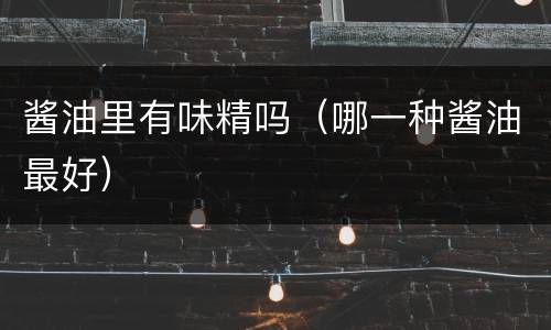 酱油里有味精吗（哪一种酱油最好）