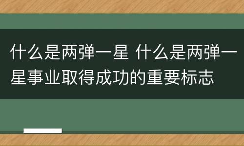 什么是两弹一星 什么是两弹一星事业取得成功的重要标志