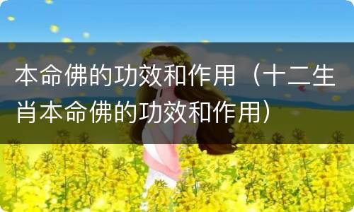 本命佛的功效和作用（十二生肖本命佛的功效和作用）