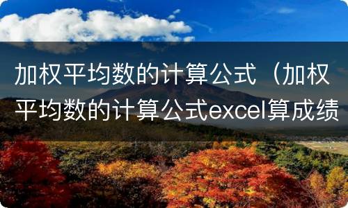 加权平均数的计算公式（加权平均数的计算公式excel算成绩）