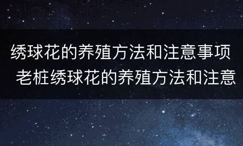 绣球花的养殖方法和注意事项 老桩绣球花的养殖方法和注意事项
