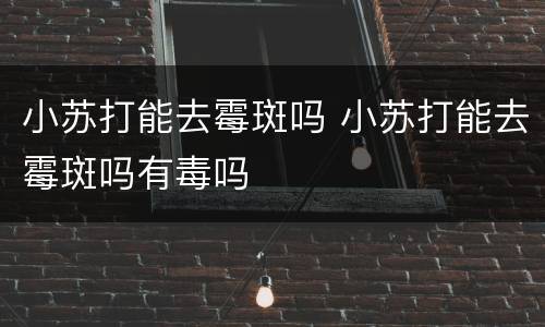 小苏打能去霉斑吗 小苏打能去霉斑吗有毒吗