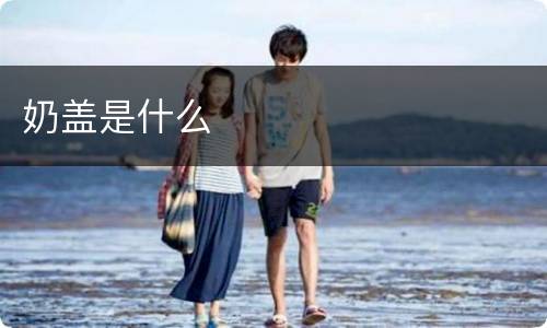 奶盖是什么