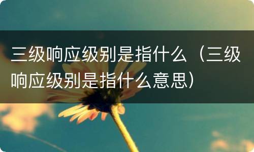 三级响应级别是指什么（三级响应级别是指什么意思）