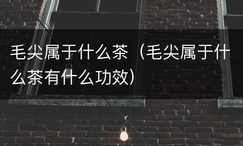 毛尖属于什么茶（毛尖属于什么茶有什么功效）