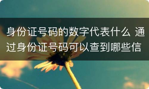身份证号码的数字代表什么 通过身份证号码可以查到哪些信息