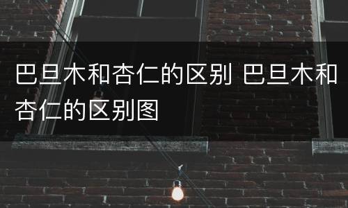 巴旦木和杏仁的区别 巴旦木和杏仁的区别图