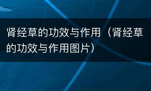 肾经草的功效与作用（肾经草的功效与作用图片）