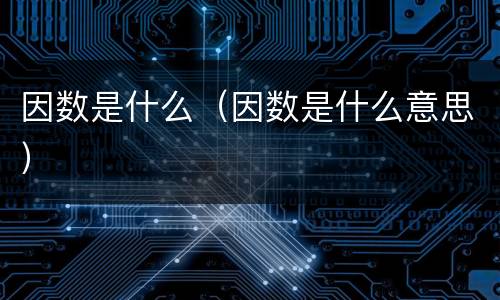 因数是什么（因数是什么意思）