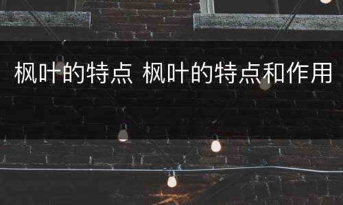 枫叶的特点 枫叶的特点和作用