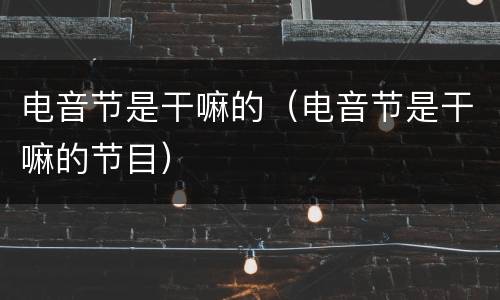 电音节是干嘛的（电音节是干嘛的节目）