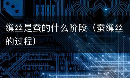 缫丝是蚕的什么阶段（蚕缫丝的过程）