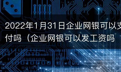 2022年1月31日企业网银可以支付吗（企业网银可以发工资吗）