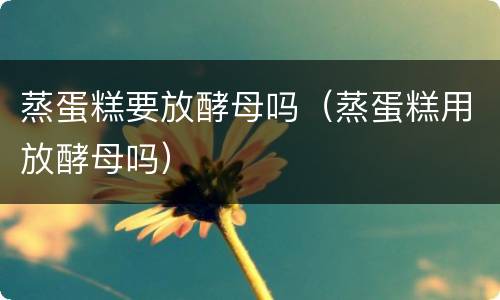 蒸蛋糕要放酵母吗（蒸蛋糕用放酵母吗）