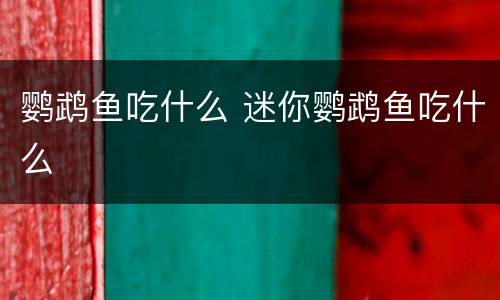 鹦鹉鱼吃什么 迷你鹦鹉鱼吃什么