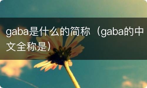 gaba是什么的简称（gaba的中文全称是）