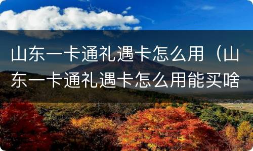 山东一卡通礼遇卡怎么用（山东一卡通礼遇卡怎么用能买啥）