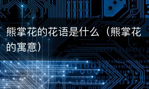 熊掌花的花语是什么（熊掌花的寓意）