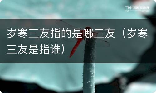 岁寒三友指的是哪三友（岁寒三友是指谁）