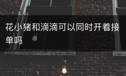 花小猪和滴滴可以同时开着接单吗