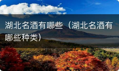 湖北名酒有哪些（湖北名酒有哪些种类）