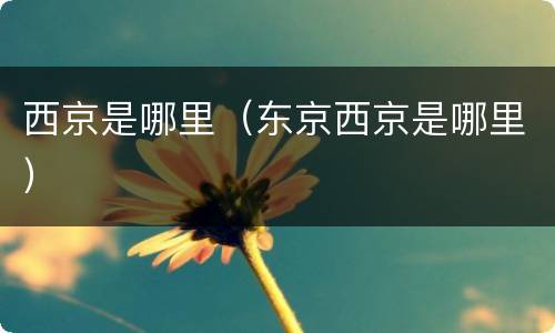 西京是哪里（东京西京是哪里）