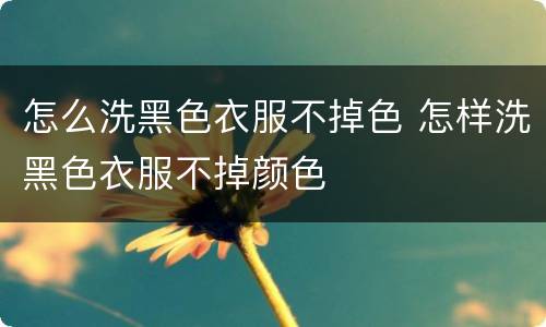 怎么洗黑色衣服不掉色 怎样洗黑色衣服不掉颜色