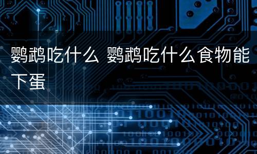 鹦鹉吃什么 鹦鹉吃什么食物能下蛋