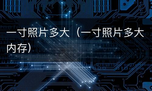 一寸照片多大（一寸照片多大内存）