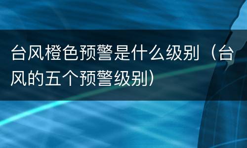 台风橙色预警是什么级别（台风的五个预警级别）