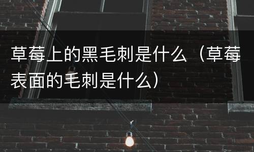 草莓上的黑毛刺是什么（草莓表面的毛刺是什么）