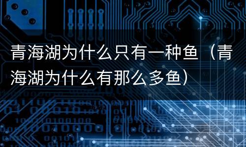 青海湖为什么只有一种鱼（青海湖为什么有那么多鱼）