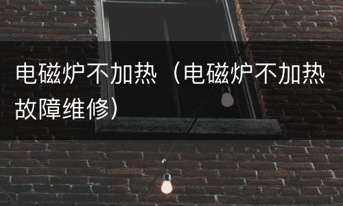 电磁炉不加热（电磁炉不加热故障维修）