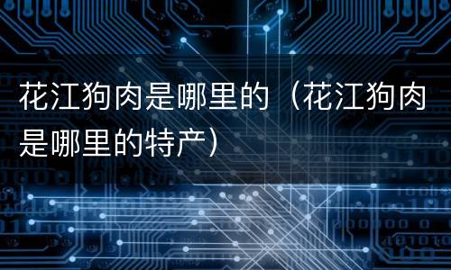 花江狗肉是哪里的（花江狗肉是哪里的特产）