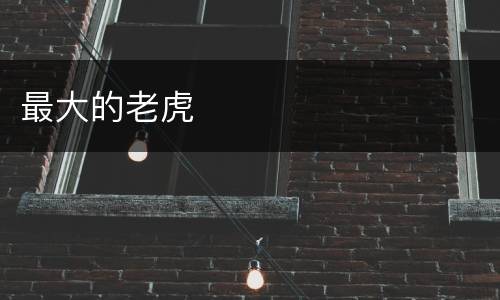 最大的老虎