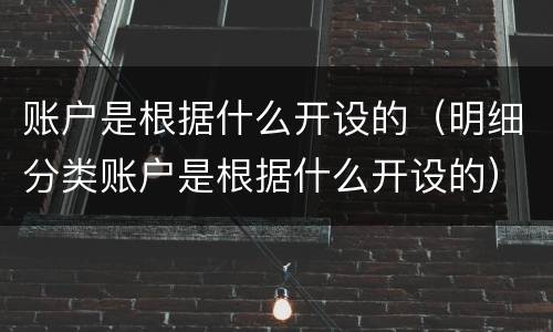 账户是根据什么开设的（明细分类账户是根据什么开设的）