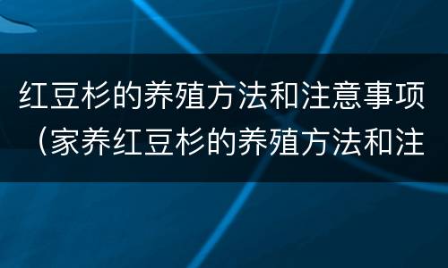 红豆杉的养殖方法和注意事项（家养红豆杉的养殖方法和注意事项）
