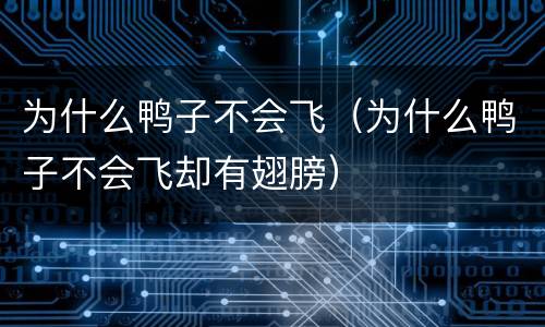 为什么鸭子不会飞（为什么鸭子不会飞却有翅膀）