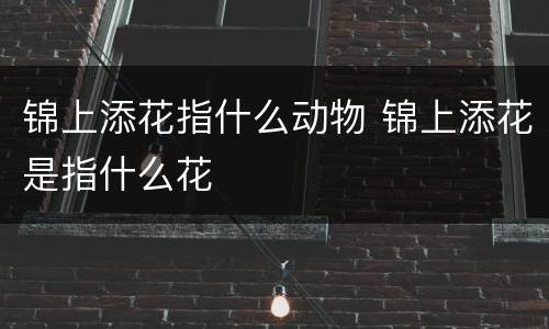 锦上添花指什么动物 锦上添花是指什么花