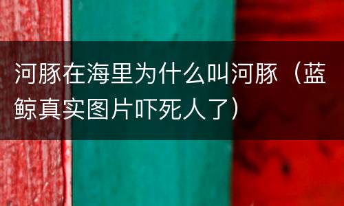 河豚在海里为什么叫河豚（蓝鲸真实图片吓死人了）