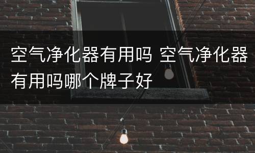 空气净化器有用吗 空气净化器有用吗哪个牌子好